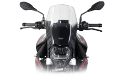 Tourenscheibe, BMW F900R 2020-up