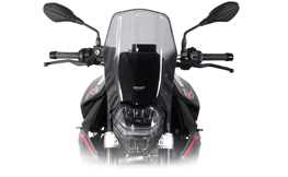 Tourenscheibe, BMW F900R 2020-up