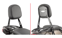 Specific Passenger Backrest