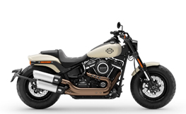 Softail Modelle