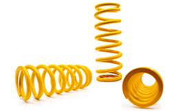 Shock absorber springs