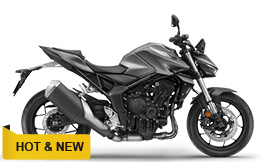 CB1000 Hornet