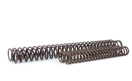 Springs for FGK 243