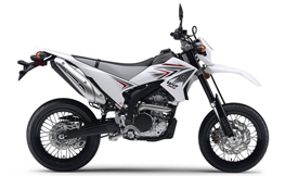 WR 250 X 08-16