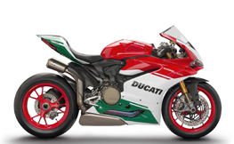 Panigale 1299 / R / Final Edition 15-