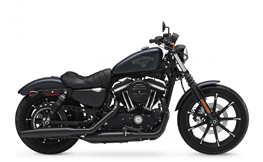 XL 883 N Sportster Iron 13-13